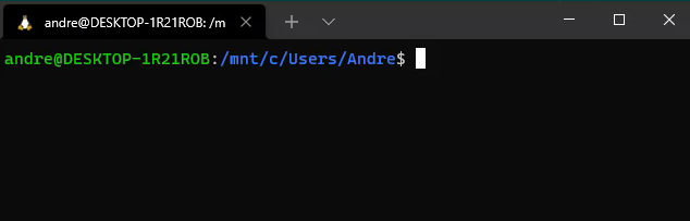 ../_images/ubuntu_bash.png