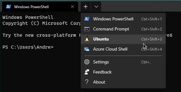 ../_images/windows_terminal_ubuntu.png
